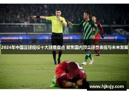 2024年中国足球现役十大球星盘点 聚焦国内顶尖球员表现与未来发展