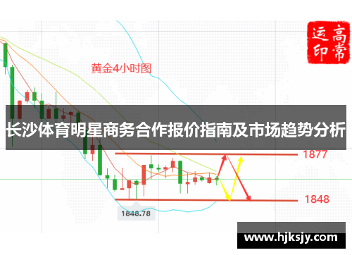 长沙体育明星商务合作报价指南及市场趋势分析