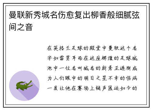 曼联新秀城名伤愈复出柳香般细腻弦间之音